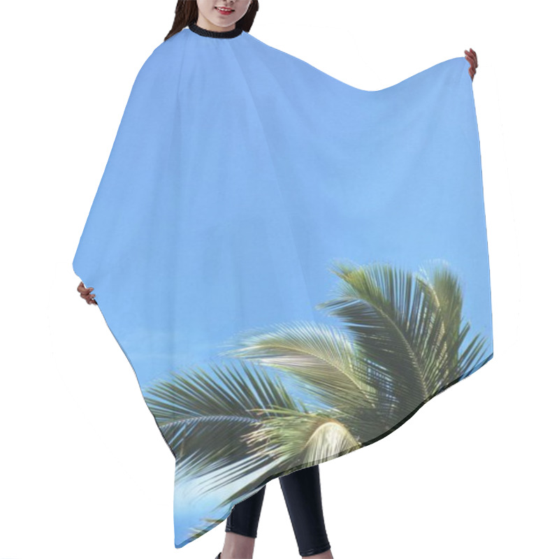 Personality  Tranquil Coastal Landscape With Azure Sky And Majestic Palm Trees Hair Cutting Cape