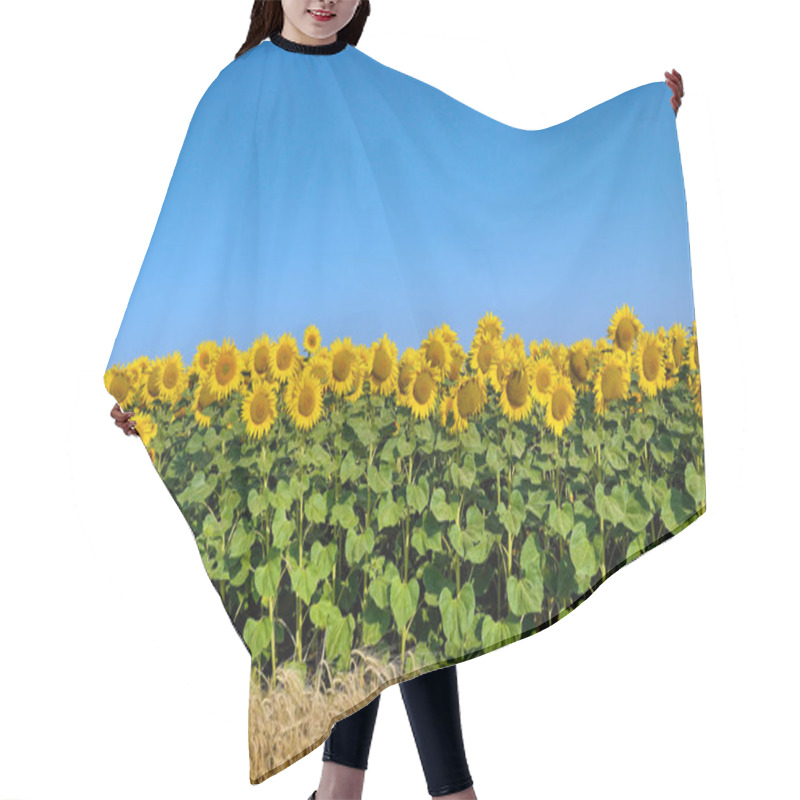 Personality  Field Of Yellow Sunflowers Against The Blue Sky Hair Cutting Cape