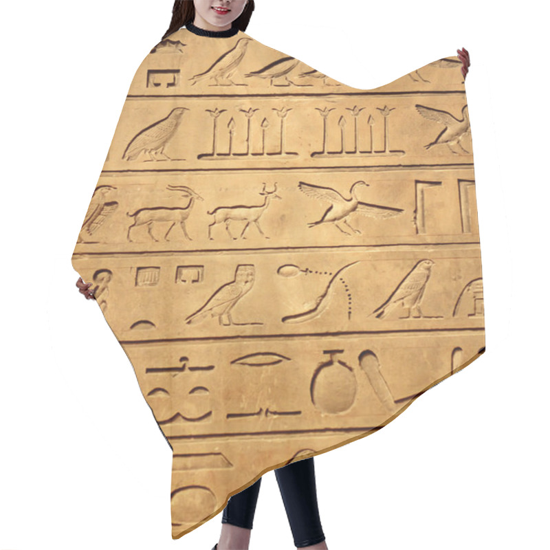 Personality  Egyptian Hieroglyphics Hair Cutting Cape