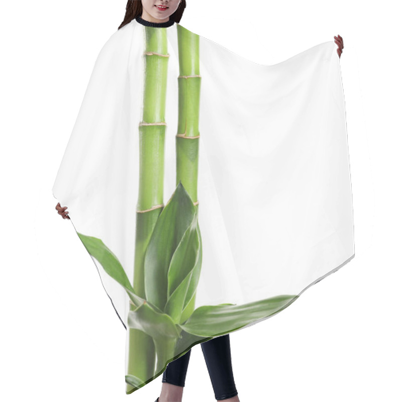 Personality  Green Bamboo Stems With Leaves On White Background Hair Cutting Cape