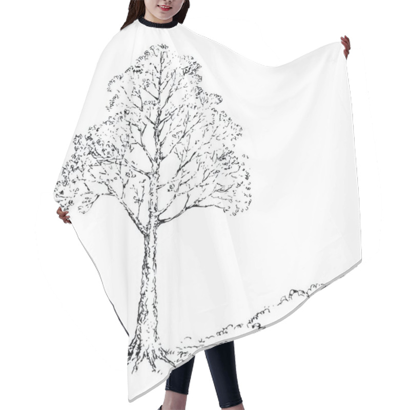 Personality  Big Old Birch Twig Scene Picture View. White Cloudy Sky Backdrop. Freehand Outline Dark Black Ink Hand Drawn Logo Pictogram Icon Sign Design In Art Retro Doodle Abstract Style Pen On Paper Text Space Hair Cutting Cape