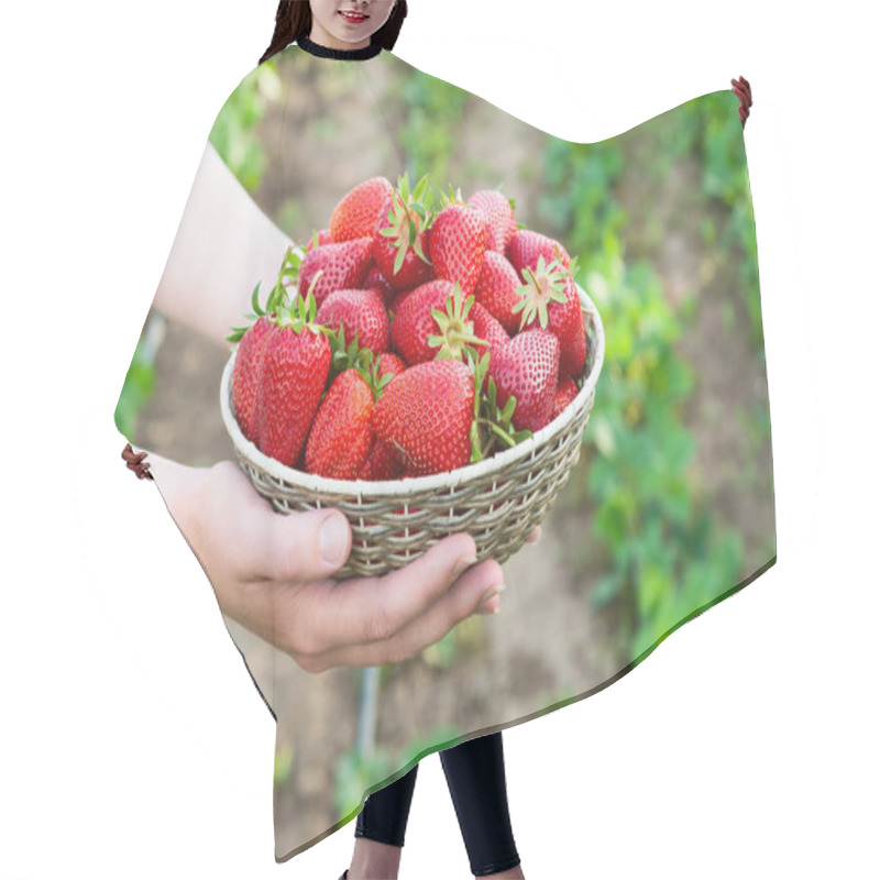 Personality  Strawberries. Hair Cutting Cape