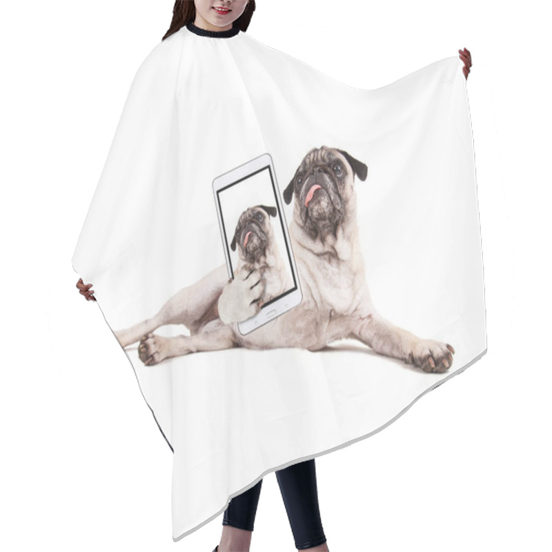 Personality  Cute Pug Puppy With Her Tongue Hanging Out In The Studio Isolated On A White Background Taking A Selfie Hair Cutting Cape