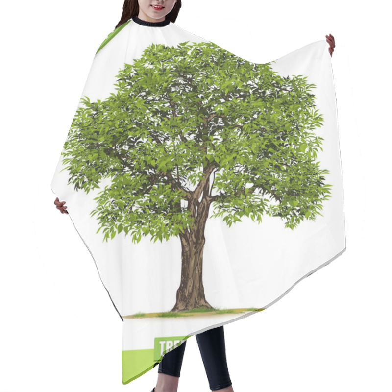 Personality  Beautiful Tree On A White Background Hair Cutting Cape