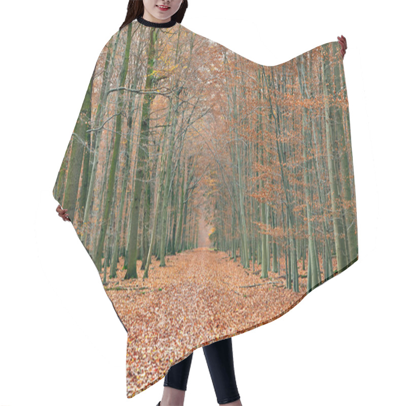 Personality  Pathway In The Autumn Forest Hair Cutting Cape