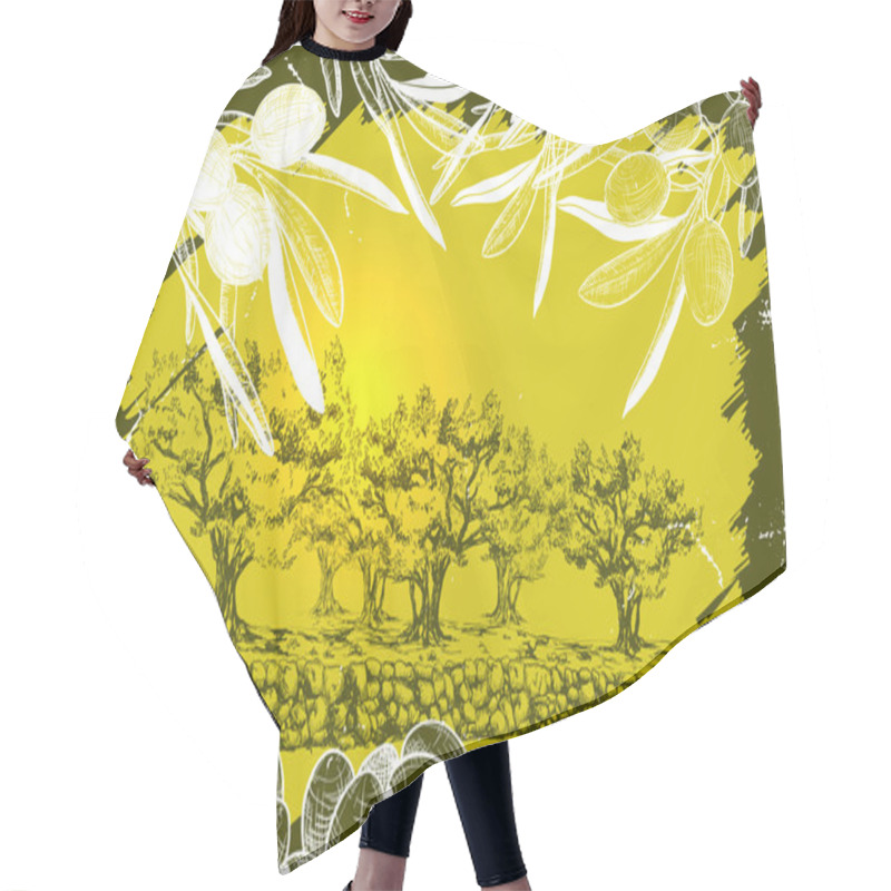 Personality  Vector Illustration Of Olive Harvest Landscape  Hair Cutting Cape