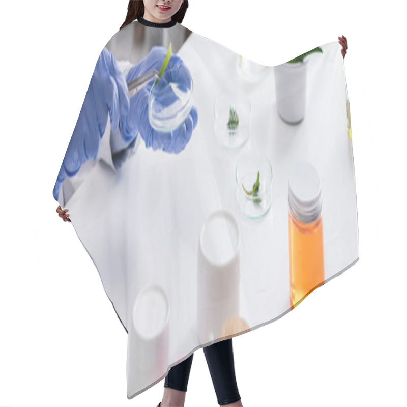 Personality  Cropped View Of Laboratory Assistant In Latex Gloves Holding Tweezers And Test Plate Near Fresh Plants And Containers, Banner Hair Cutting Cape