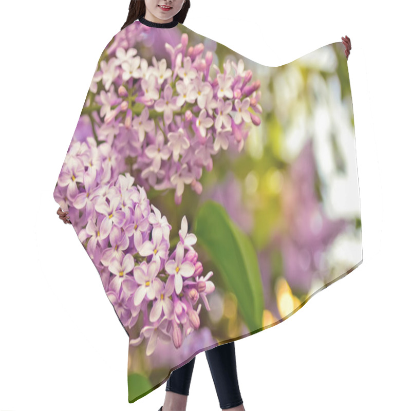 Personality  Blooming Lilacs. Hair Cutting Cape