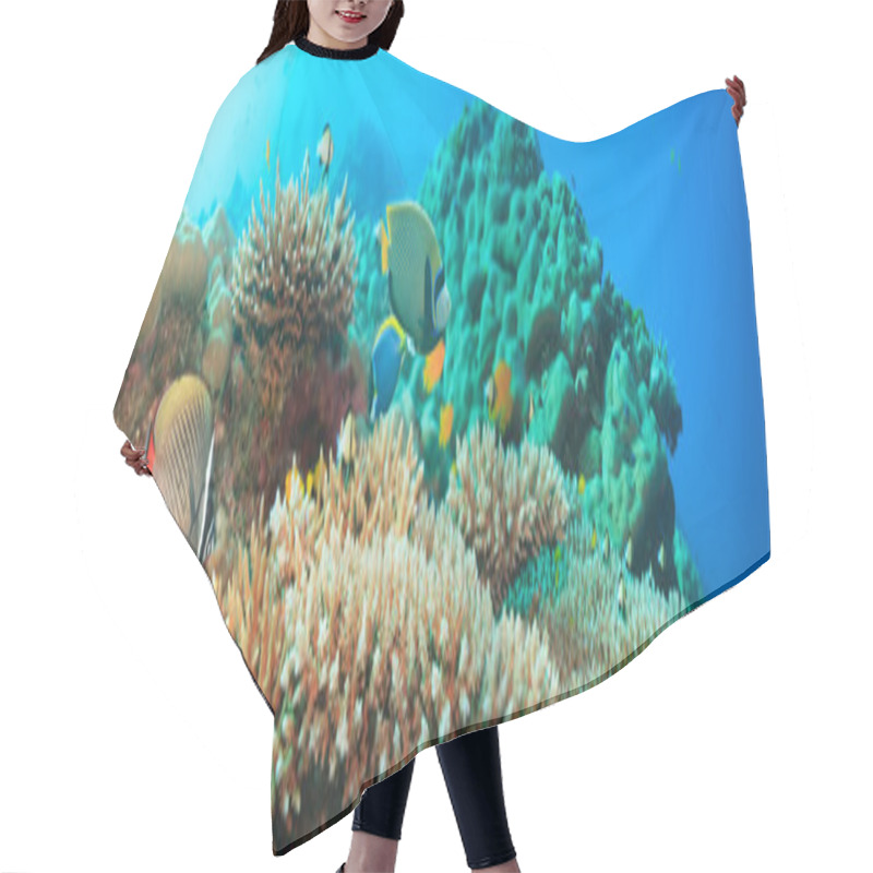 Personality  Underwater Panorama Hair Cutting Cape