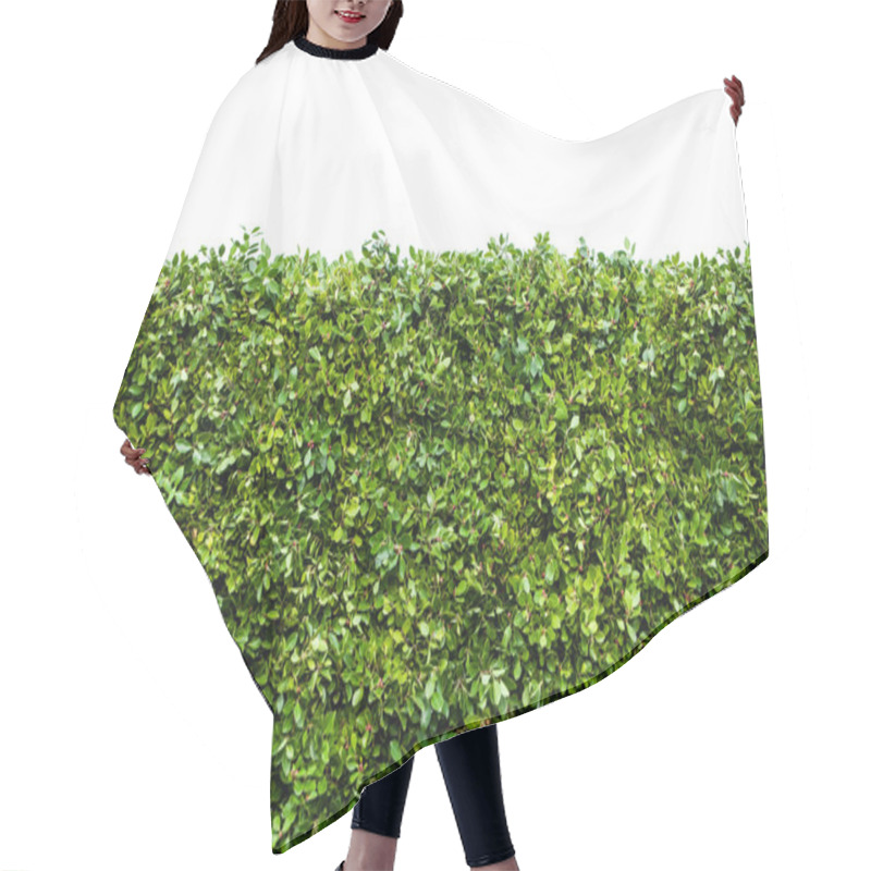 Personality  Green Hedges With Grass Hair Cutting Cape