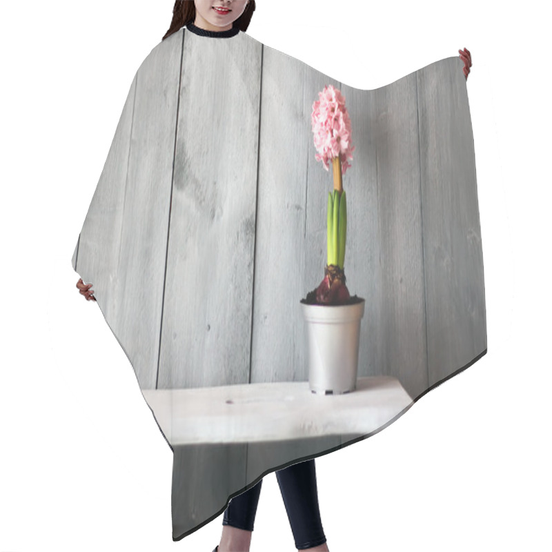 Personality  Hyacinth Hair Cutting Cape