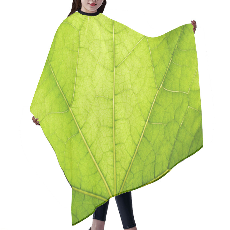 Personality  Green Leaf Texture Hair Cutting Cape