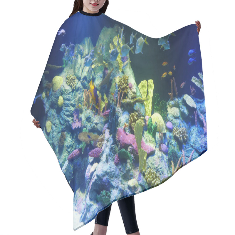 Personality  Big Aquarium With Colourful Corals And Fishes Hair Cutting Cape