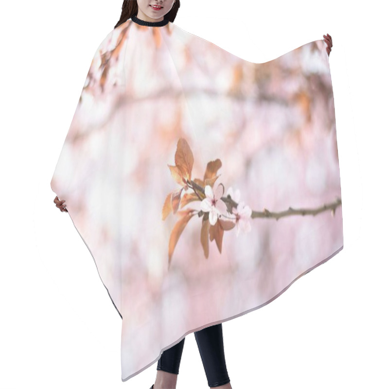 Personality  Delicate Pink Blossoms On A Branch Against A Soft, Pastel Background. Hair Cutting Cape