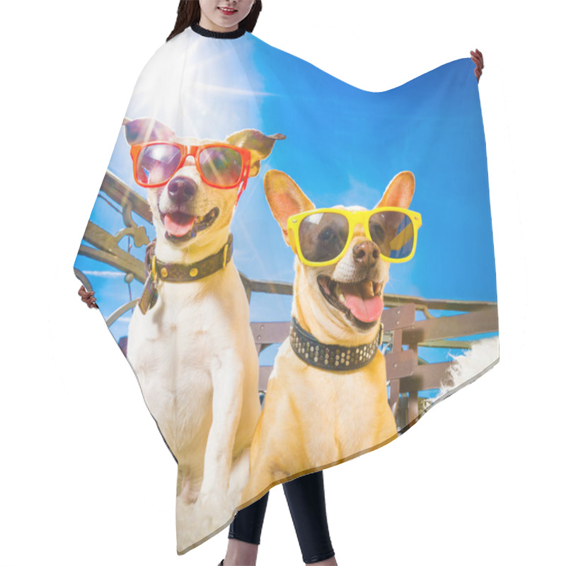 Personality  Summer Dogs Balcony Hair Cutting Cape