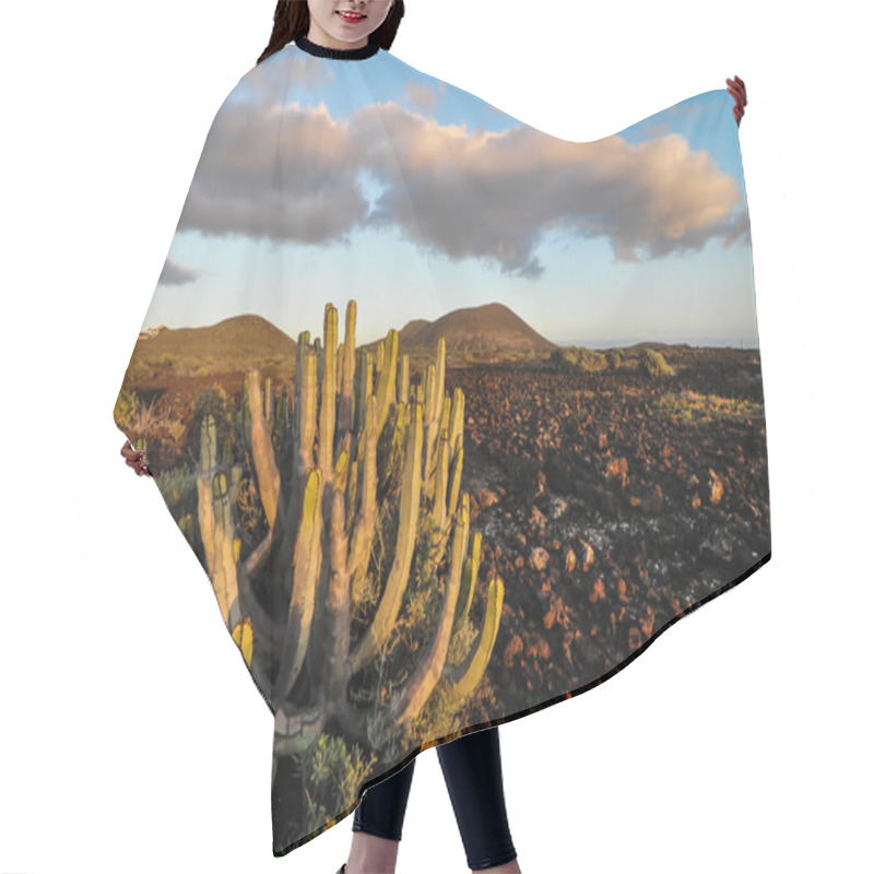 Personality  Cactus In The Desert Hair Cutting Cape