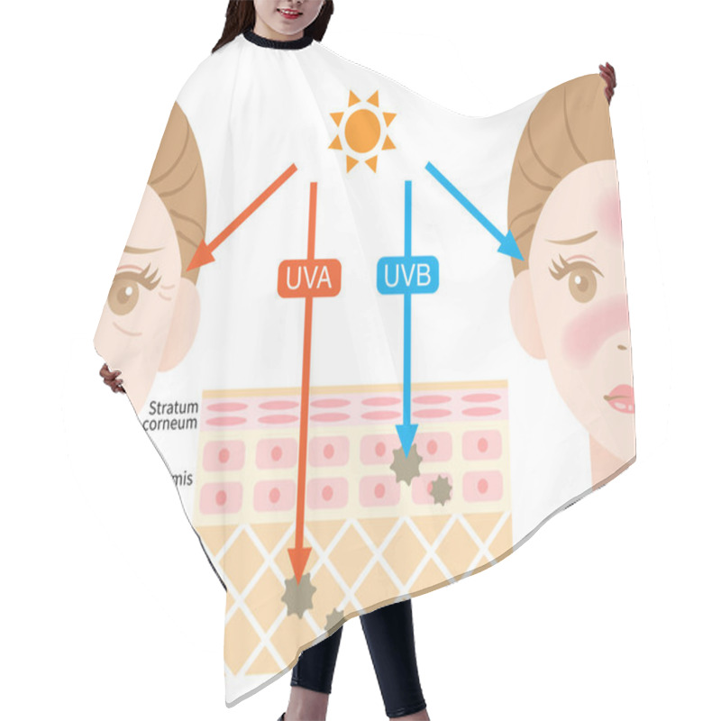 Personality  Infographic Illustration Of Difference Between UVA And UVB Rays. UV Penetration Into Human Skin And Woman Face. Skin Care And Beauty Concept Hair Cutting Cape