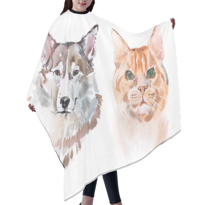 Personality  Red-headed Cat And Dog Aquarelle Drawing. Hair Cutting Cape