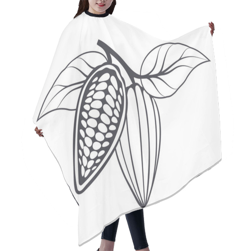 Personality  Cocoa Beans With Leaves On White Background. Vector Illustration. Hair Cutting Cape