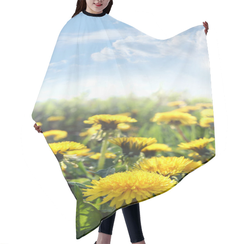 Personality  Dandelions On Field Hair Cutting Cape