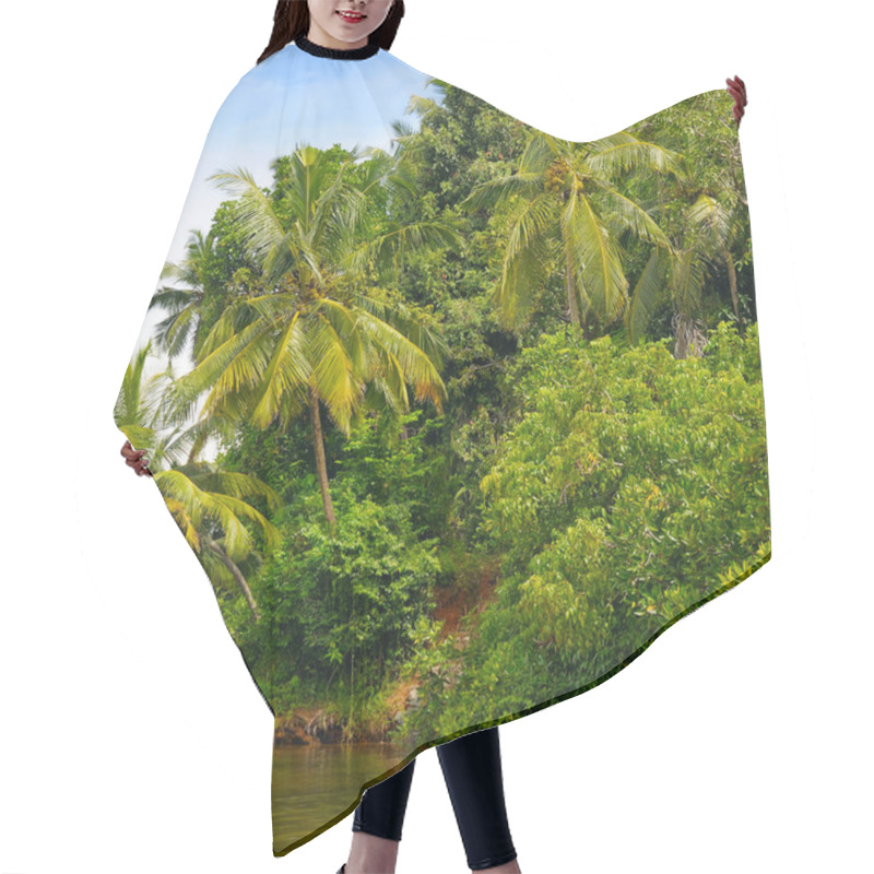 Personality  Tropical Palm Forest On The River Bank. Sri Lanka. Picturesque And Gorgeous Scene. Hair Cutting Cape