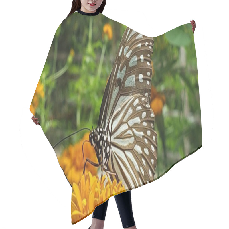 Personality  Black And White Butterfly On Yellow Flower In A Garden Hair Cutting Cape