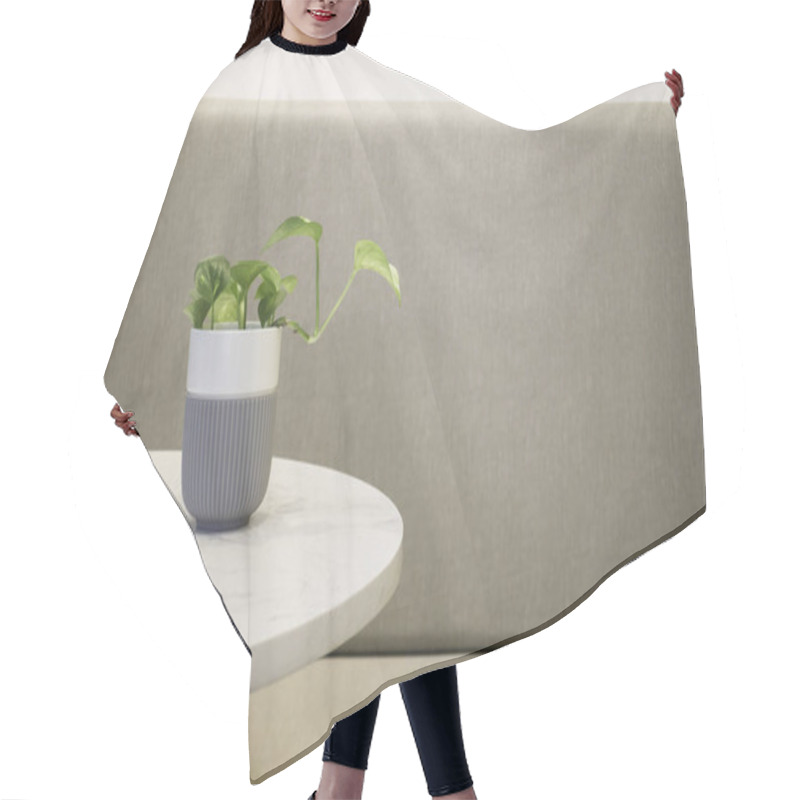 Personality  Green Plant Pot On The Table, Stock Photo Hair Cutting Cape