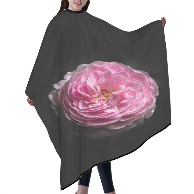 Personality  Pink Roses Blooming On A Dark Background Hair Cutting Cape