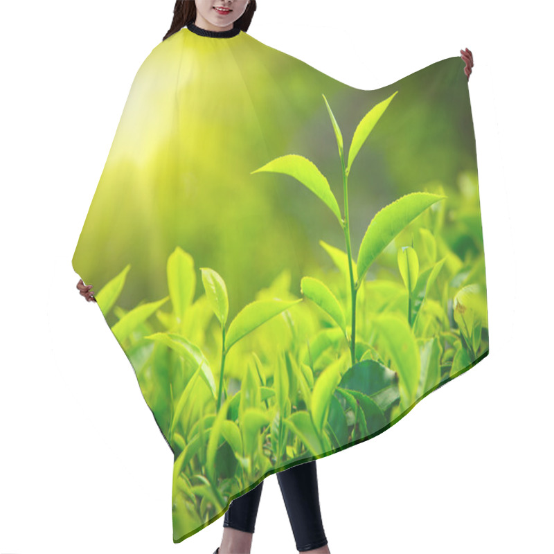 Personality  Tea Bud And Leaves Hair Cutting Cape