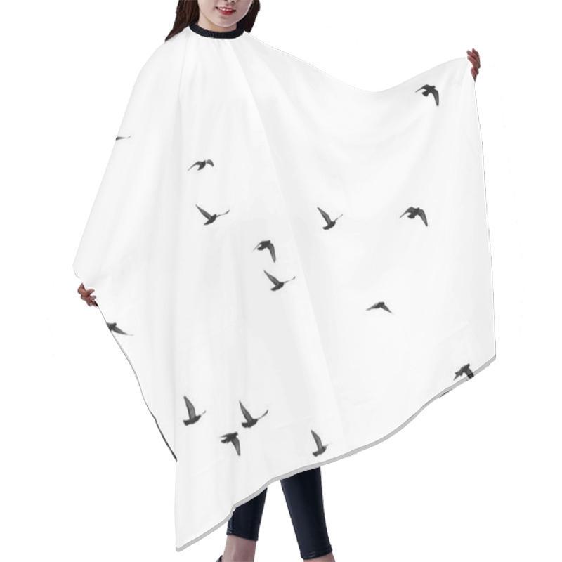 Personality  Flock Of Pigeons On A White Background Hair Cutting Cape