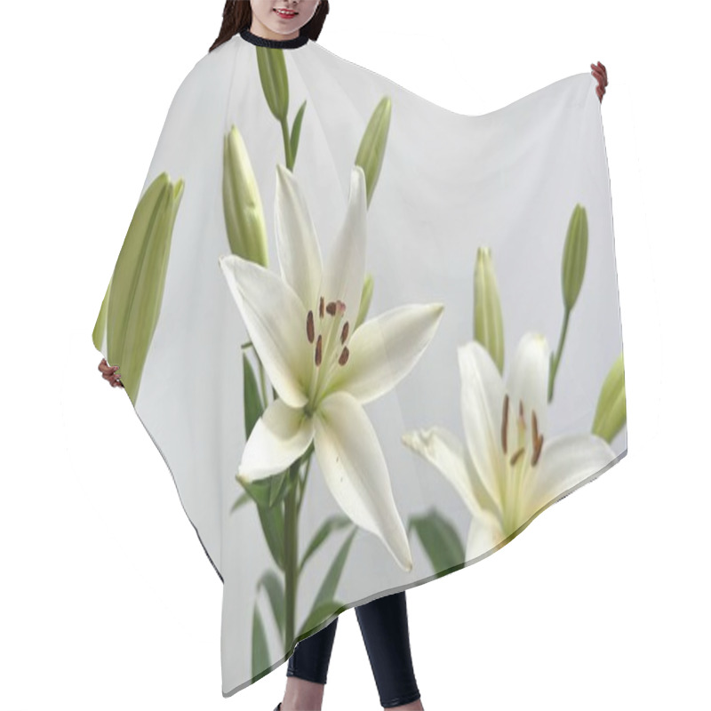 Personality  Beautiful White Lilies In Full Bloom With Green Leaves On A Soft Background. Elegant White Lily Flowers Blooming With Lush Green Leaves, Perfect For Nature And Floral Themes. Capture Beauty And Hair Cutting Cape