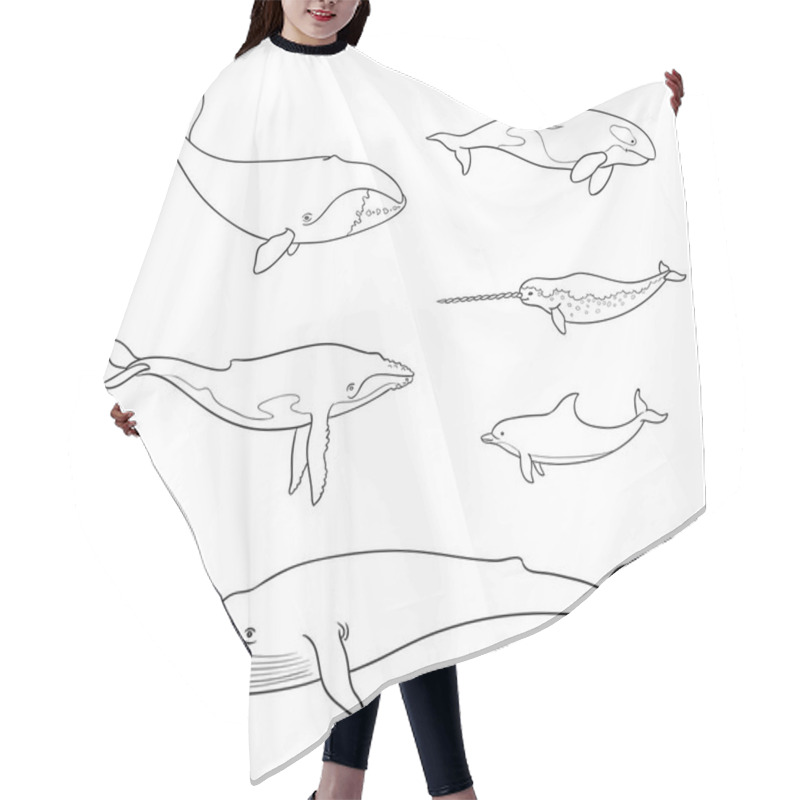 Personality  Sea Mammals (cetacea) In Outlines - Vector Illustration Hair Cutting Cape