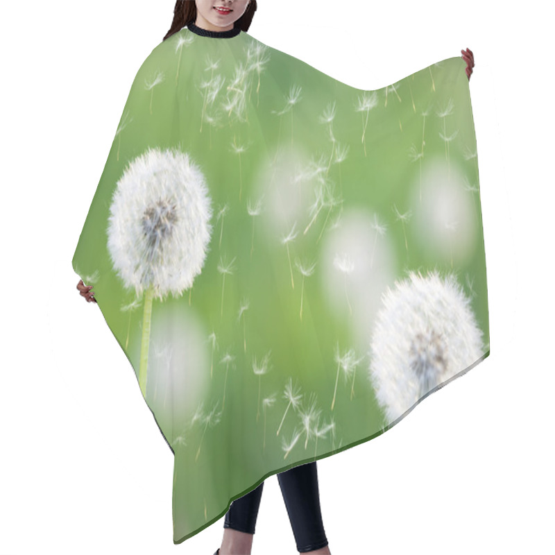 Personality  Dandelions Hair Cutting Cape