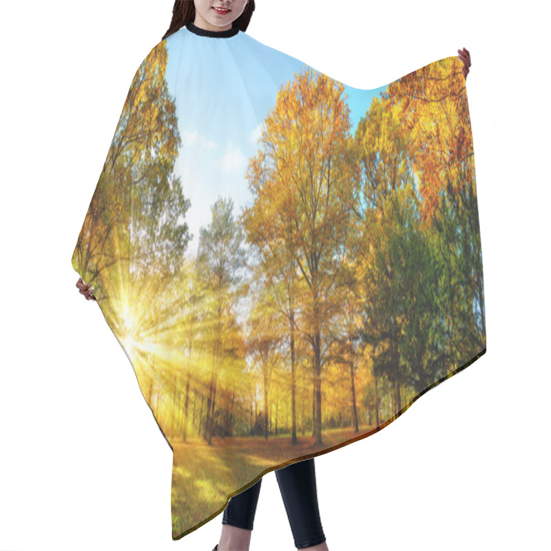 Personality  Sunny Autumn Scenery In An Idyllic Park Hair Cutting Cape