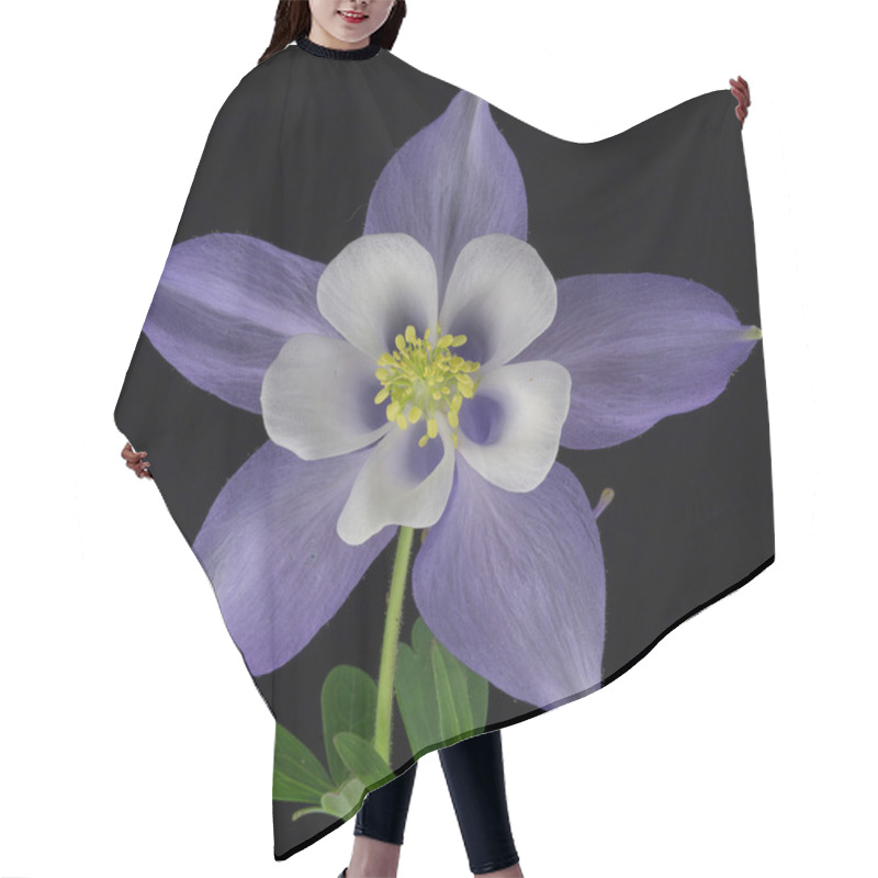 Personality  Columbine Flower Hair Cutting Cape