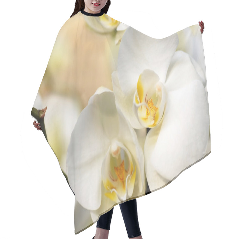 Personality  White Orchid Hair Cutting Cape