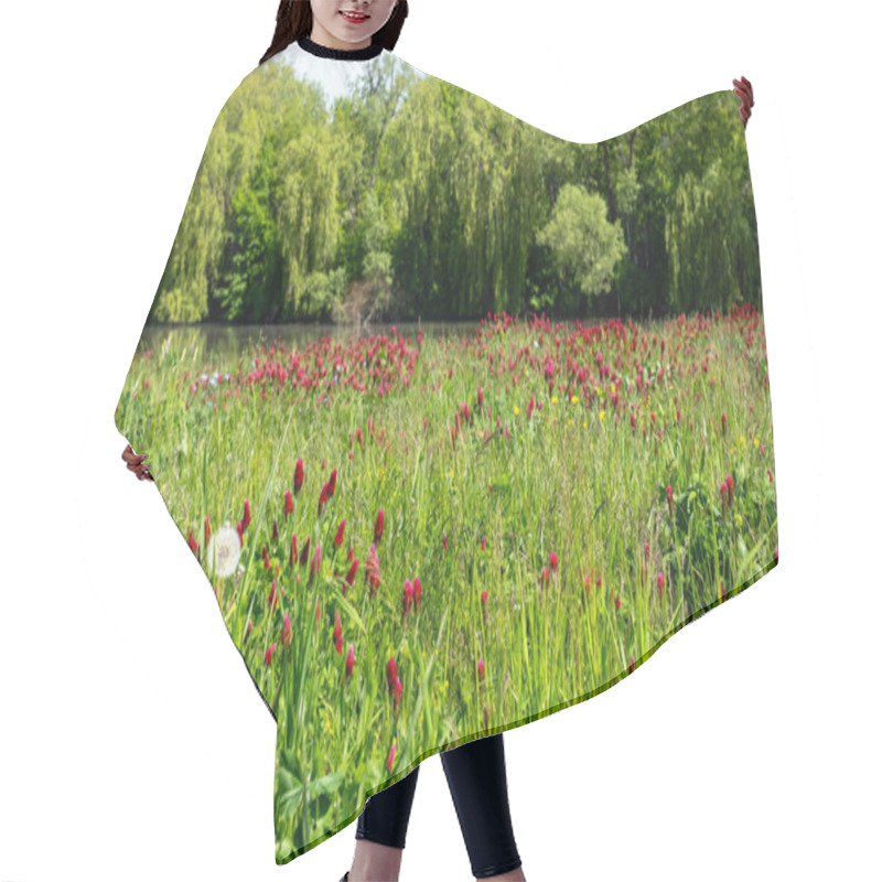 Personality  Meadow Full Of Crimson Clover And Flowers, Blooming Meadow In The Background With A Pond And Trees Hair Cutting Cape