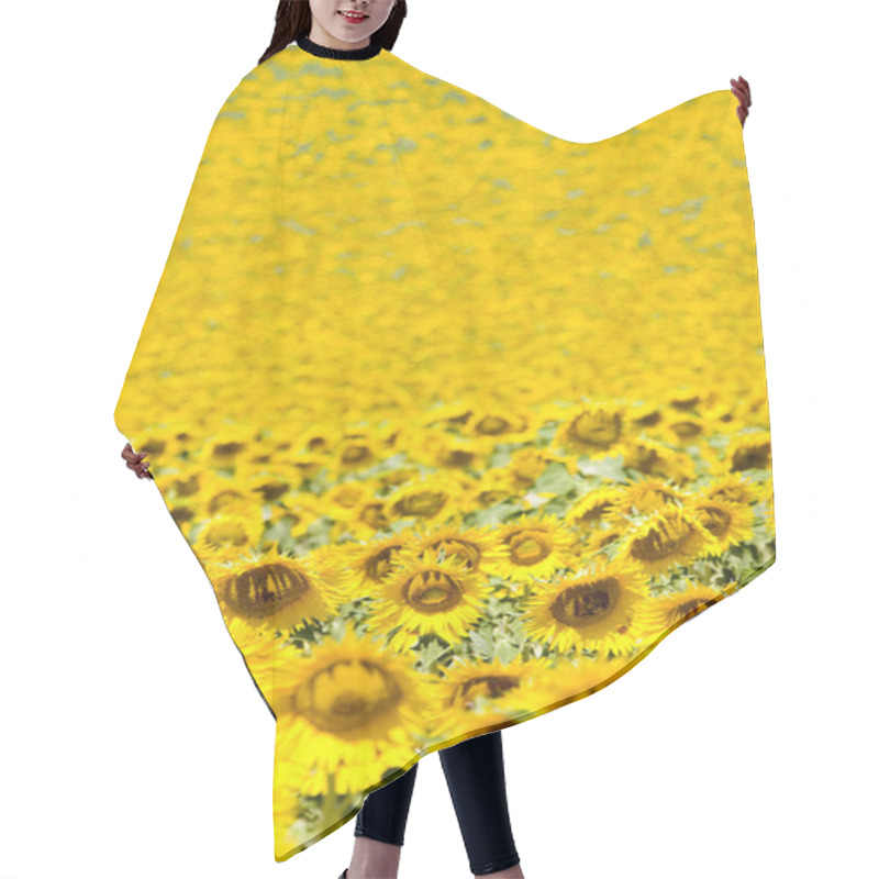 Personality  Sunflowers Hair Cutting Cape