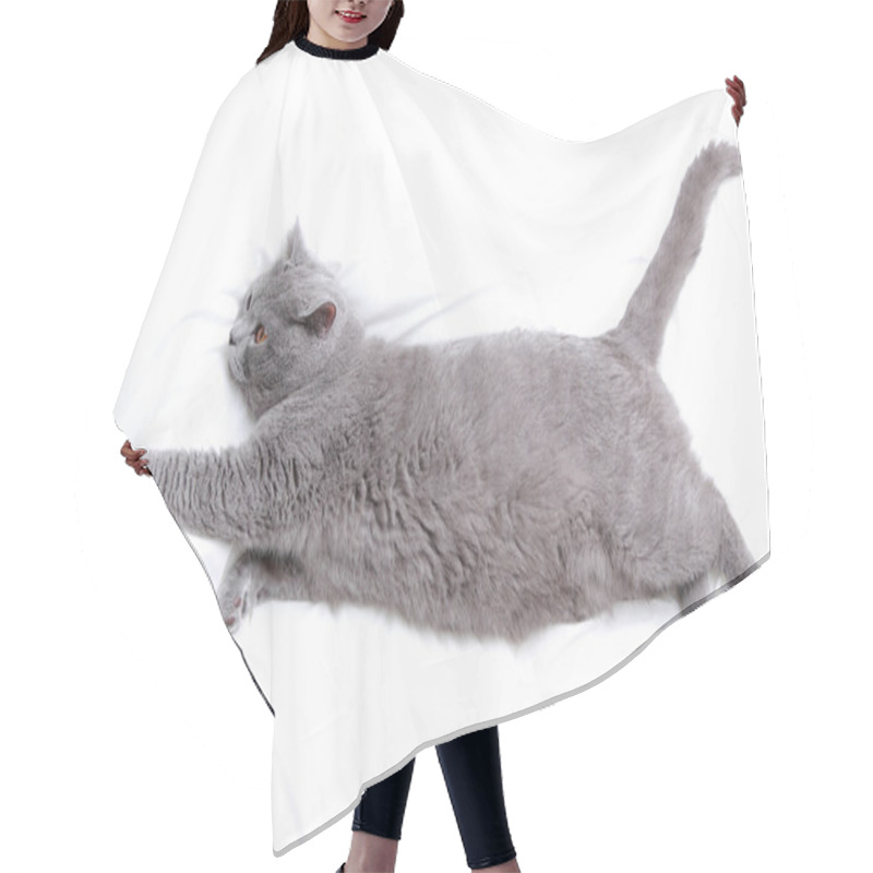 Personality  Adorable Cat Hair Cutting Cape