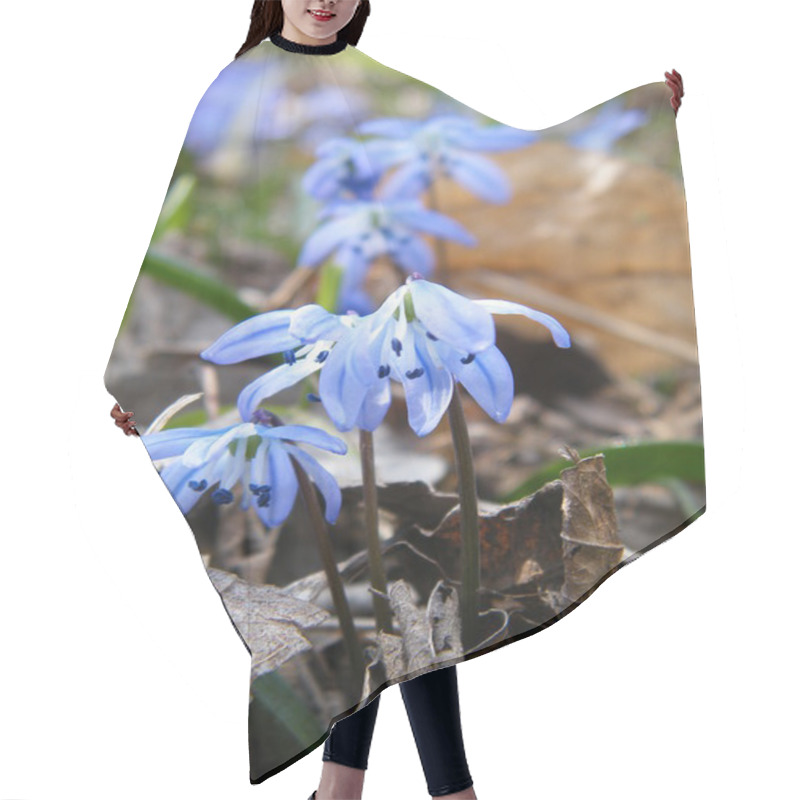 Personality  Bluebell Flower Hair Cutting Cape