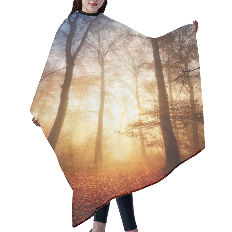 Personality  Fascinating Light In A Foggy Forest Hair Cutting Cape