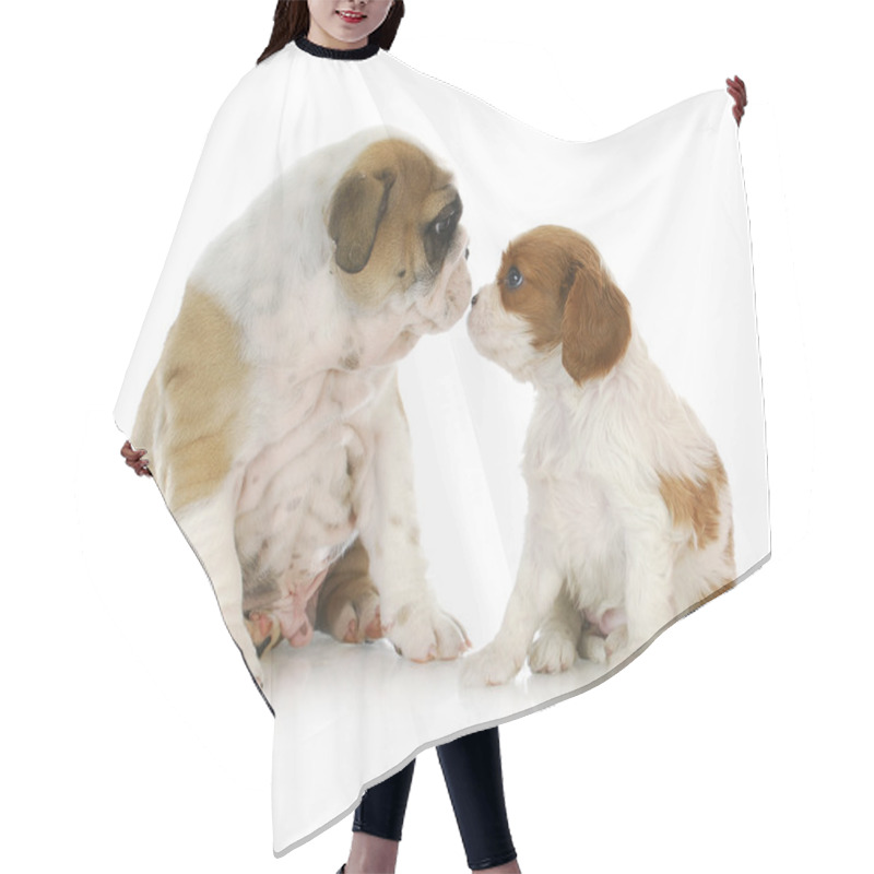 Personality  Puppy Friends Hair Cutting Cape