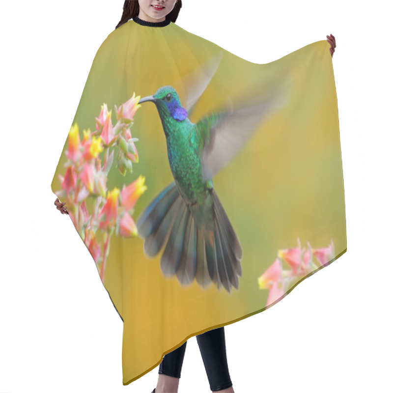 Personality  Hummingbird Green Violet-ear Hair Cutting Cape