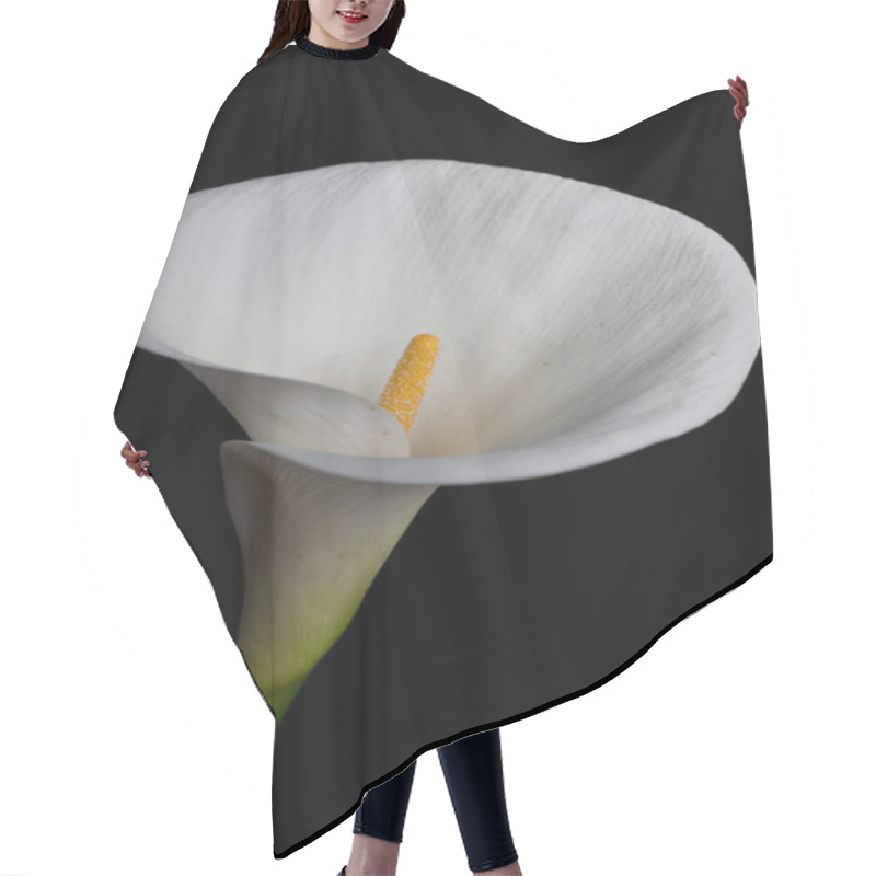 Personality  White Calla Lily Hair Cutting Cape