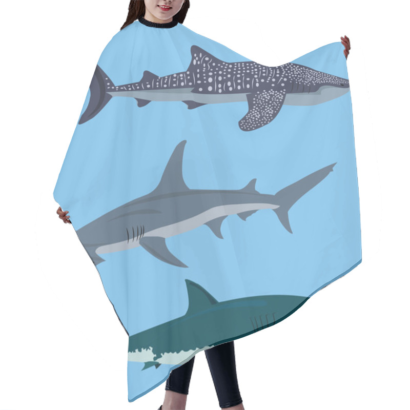 Personality  Collection Of Sharks Vector Illustration Hair Cutting Cape