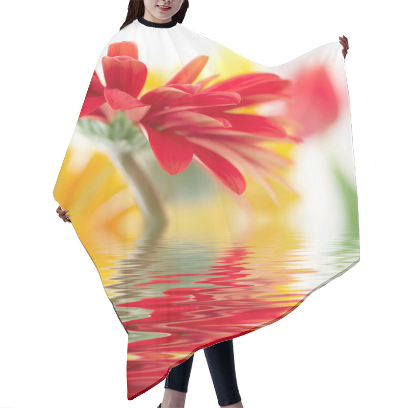 Personality  Red Daisy-gerbera With Soft Focus Reflected In The Water Hair Cutting Cape