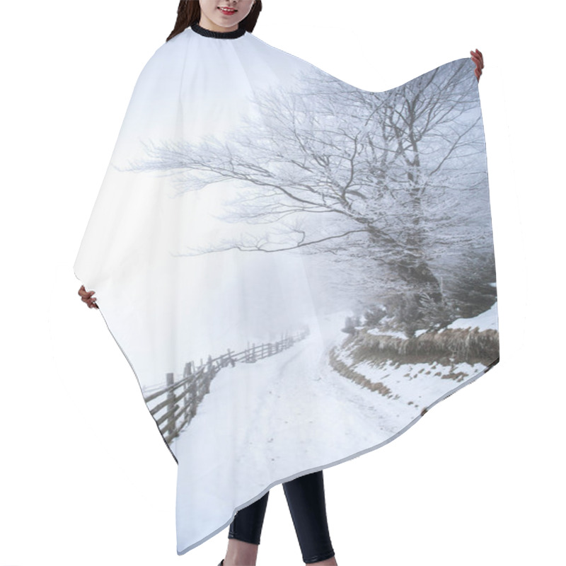 Personality  Road In Winter Forest In Mountains  Hair Cutting Cape