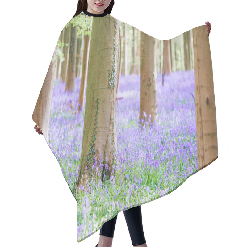 Personality  Natures Vibrant Purple Carpet, Hallerbos, Belgium Hair Cutting Cape