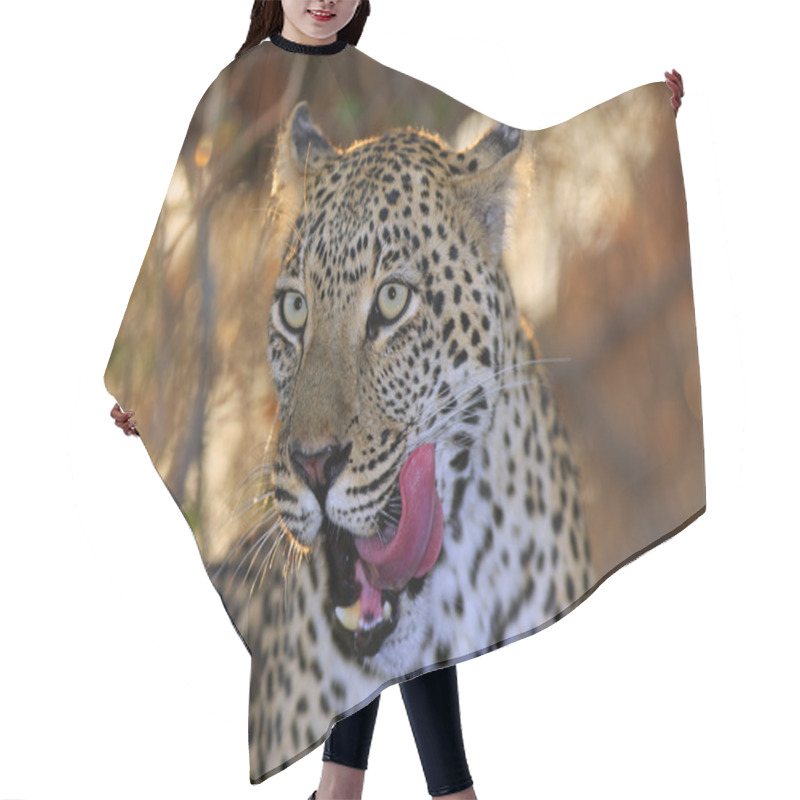 Personality  Wild African Leopard Hair Cutting Cape