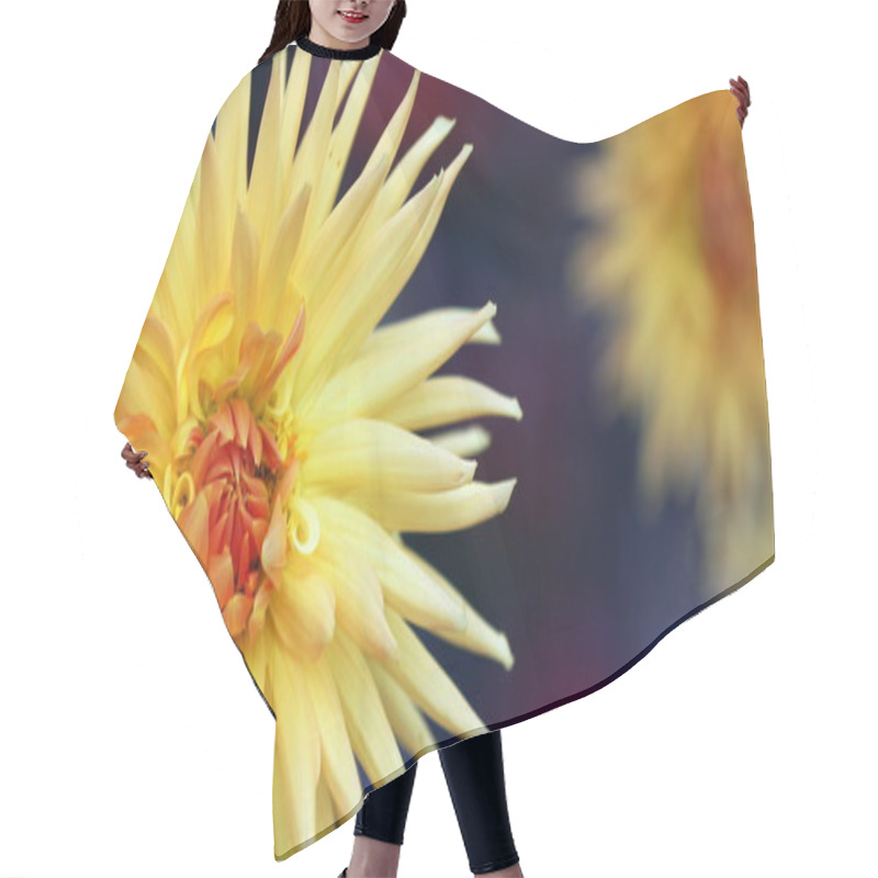 Personality  Dahlia Hair Cutting Cape